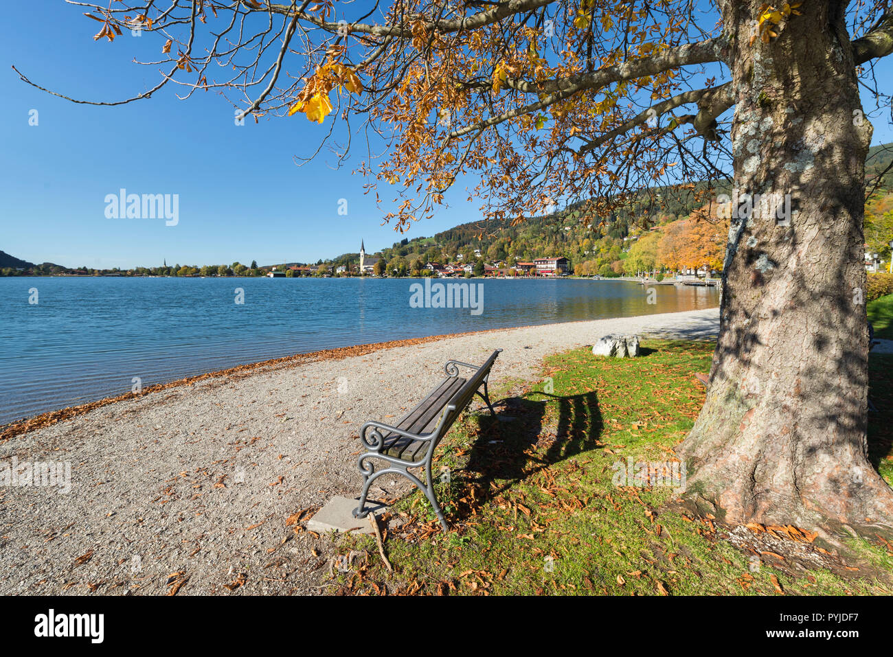 Banco di vuoto al di sotto di un autunno di acero colorato albero su di una spiaggia di ciottoli su Schliersee con una veduta della chiesa e le case, Baviera, Germania Foto Stock