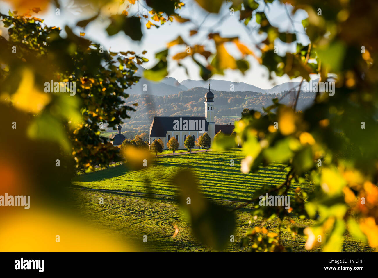 La barocca Chiesa di pellegrinaggio in Wilparting incorniciato da colorate Foglie di autunno al sole del mattino, Baviera, Germania Foto Stock