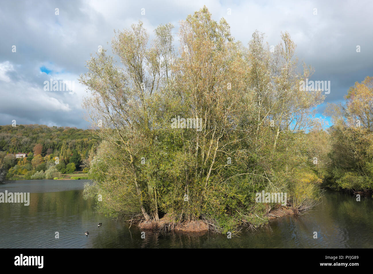 Bodenham lago visto in autunno, parte del lago Bodenham Riserva Naturale, Herefordshire UK 2018 Foto Stock