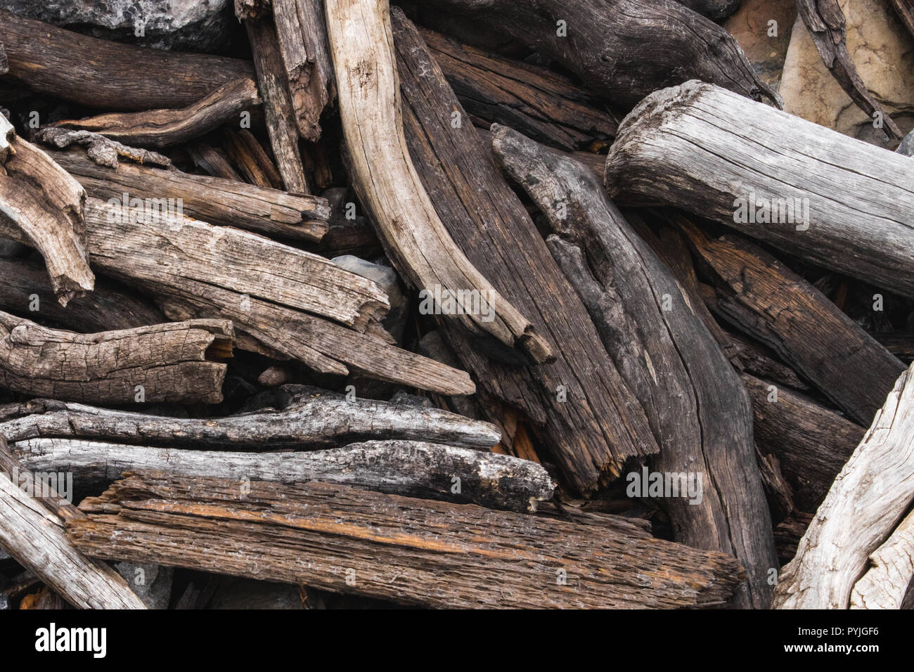 Legno sbiancato - texture Foto Stock