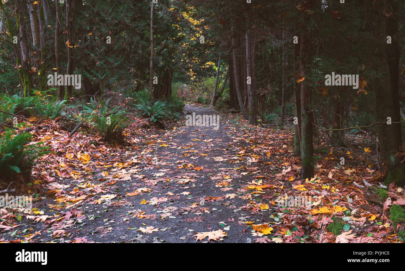 La bellissima isola di Bowen in Salish mare di Howe Sound, della Columbia britannica in Canada e a Vancouver. Arte fotografia per casa e ufficio arredamento. Foto Stock