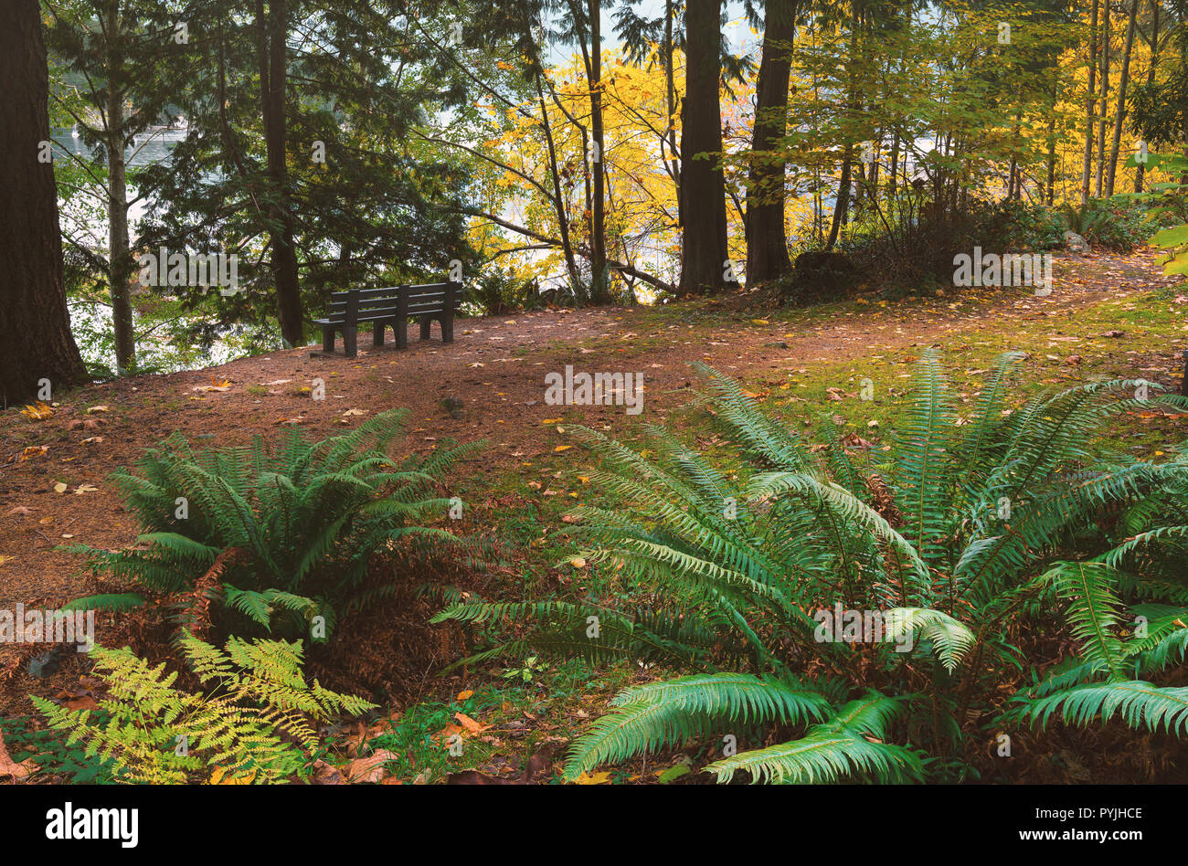 La bellissima isola di Bowen in Salish mare di Howe Sound, della Columbia britannica in Canada e a Vancouver. Arte fotografia per casa e ufficio arredamento. Foto Stock