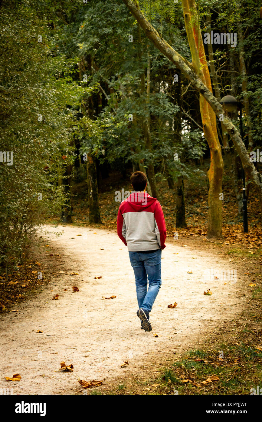 Vista posteriore di un uomo a camminare da sola in un parco Foto Stock