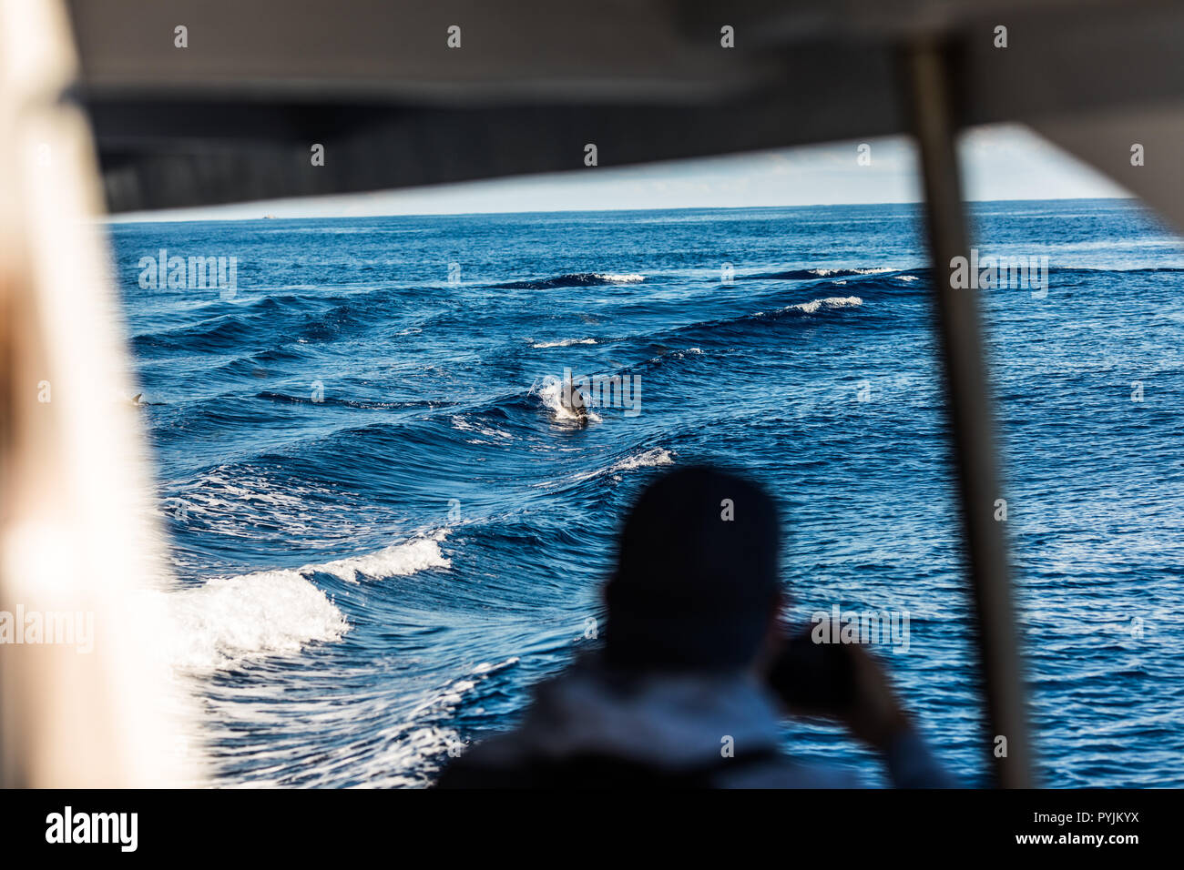 SAO MIGUEL, Azzorre-Juny, 2018: turistici su una barca per fare whale watching Foto Stock