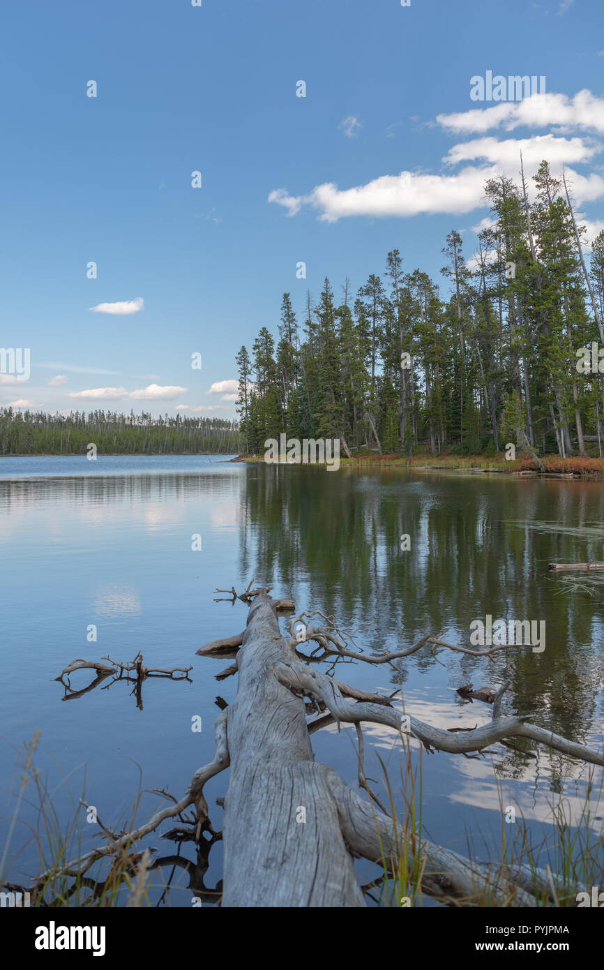 Ice Lake Yellowstone National Park su uno splendido inizio di caduta giorno con riflessioni. Foto Stock