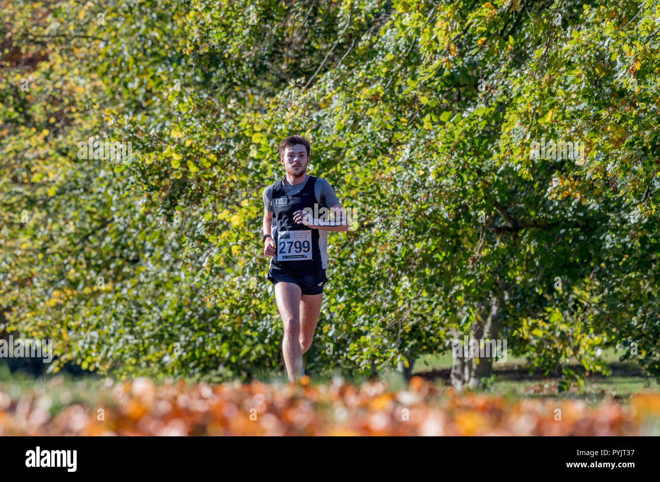 Meteo U.K., Clumber Park, Nottinghamshire, England, Regno Unito 28th. Ottobre 2018.Corridori a competere in Worksop Halloween mezza maratona sono accolti dal brillante sole autunnale come essi passano attraverso Clumber Park. Alan Beastall/Alamy Live News Foto Stock