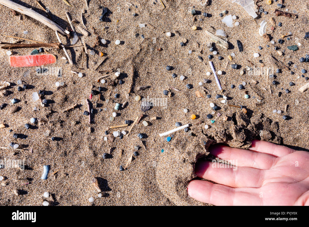 Penisola di Gower, Swansea, Regno Unito. Il 28 ottobre 2018. Il vento forte e azione di onda ha concentrato l'inquinamento in plastica a Llangennith beach sulla Penisola di Gower, in una zona di straordinaria bellezza naturale. Il lato nord della spiaggia sabbiosa di 2,5 miglia di spiaggia è coperta in plastica di piccole dimensioni comprese nurdles (materie prime utilizzate nella fabbricazione di articoli in materiale plastico). Penisola di Gower, vicino a Swansea, Galles, Credito: Gareth Llewelyn/Alamy Live News. Foto Stock