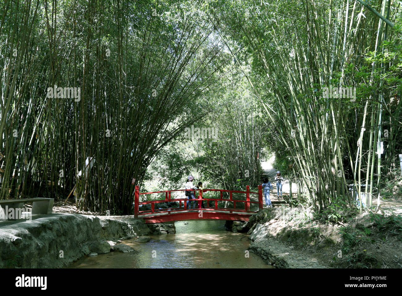 In Guangzhou, la Cina della provincia di Guangdong. 28 ott 2018. Turisti visitano la montagna Tianzi cascata scenic area in Qingyuan, Cina del sud della provincia di Guangdong, 28 ottobre 2018. Credito: Zhang Jiayang/Xinhua/Alamy Live News Foto Stock