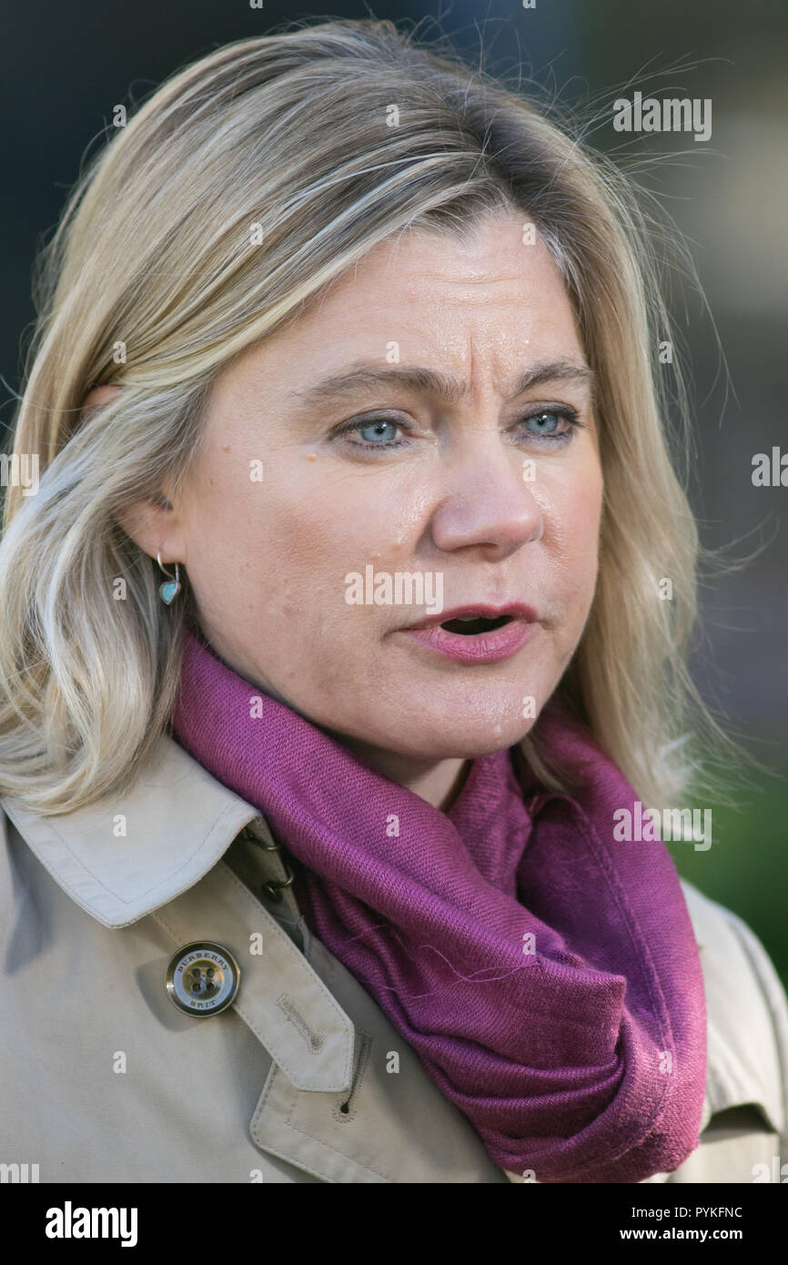 Londra, Regno Unito. , . L'ex Segretario di Stato per l'Educazione 2016-2018 e Conservtive parte MP per Putney, Justine Greening è intervistato dai media prima del bilancio 2018 per essere consegnato dal Cancelliere Philip Hammond Credito: amer ghazzal/Alamy Live News Foto Stock