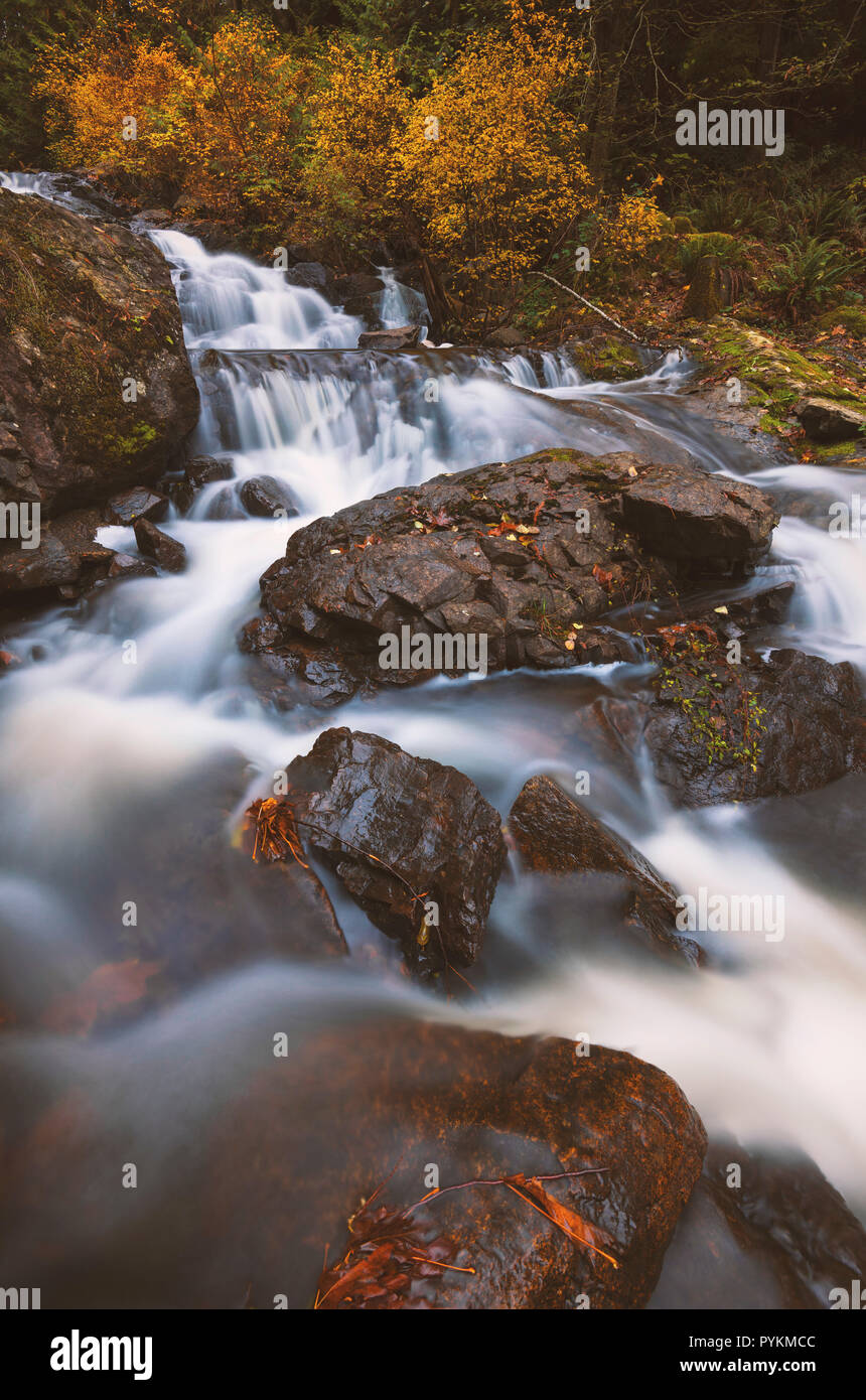 La bellissima isola di Bowen in Salish mare di Howe Sound, della Columbia britannica in Canada e a Vancouver. Arte fotografia per casa e ufficio arredamento. Foto Stock