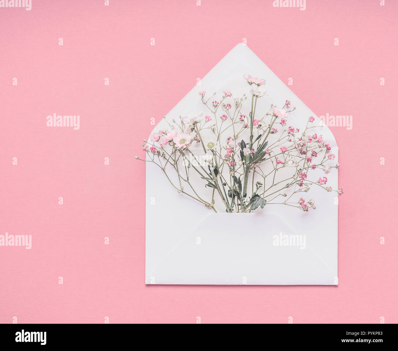 Involucro bianco con poco Gypsophila fiori sul rosa pastello sfondo, vista dall'alto con copia spazio per il vostro design Foto Stock