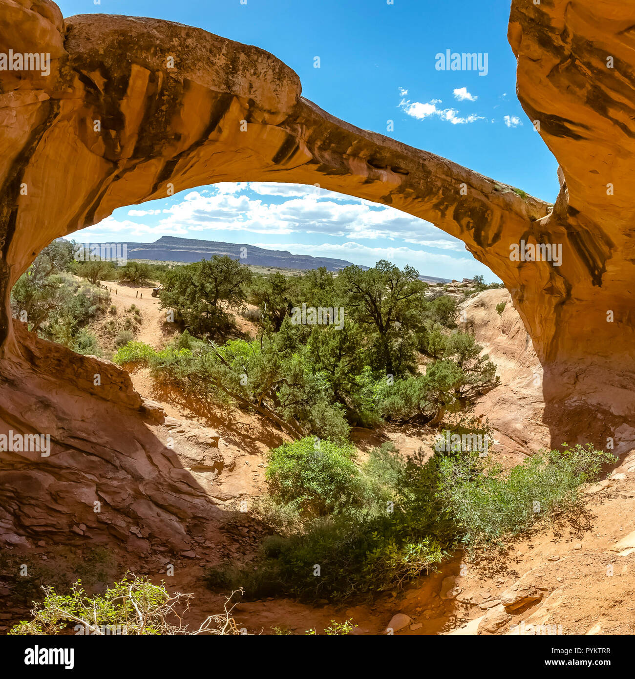 Arco di uranio in Moab Utah con il blu del cielo e le piante Foto Stock