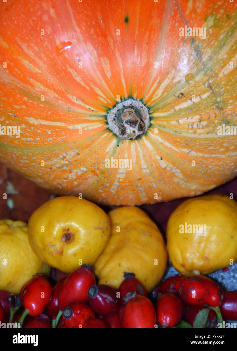 Autumn harvest in varie composizioni. Arancione zucca gialla, mela cotogna, rosa canina frutti, foglie di autunno e fiori. Foto Stock