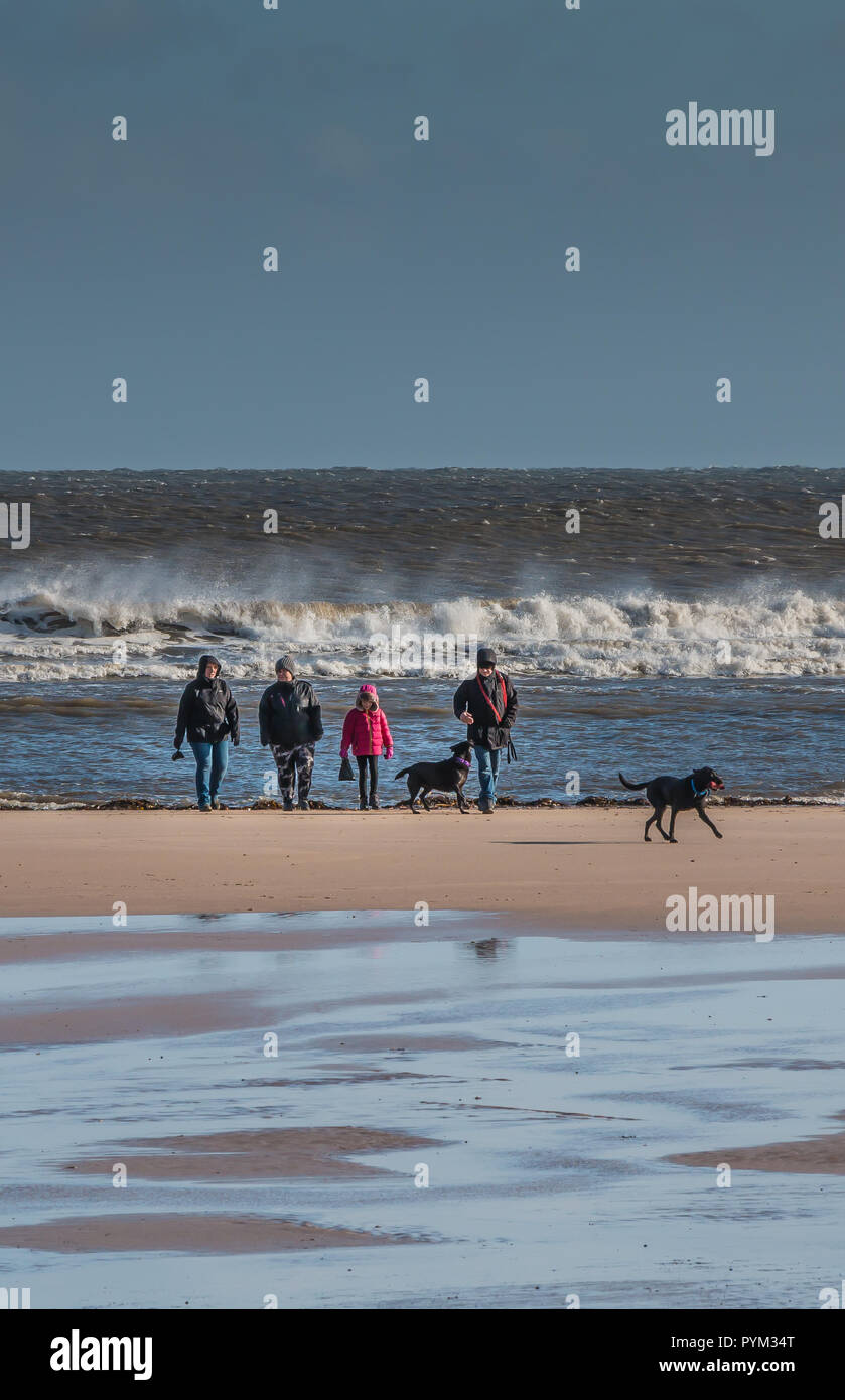 Una famiglia e i loro due nero labrador cani sulla spiaggia di Alnmouth, Northumberland su un vento freddo giorno d'inverno in una giornata di sole ed un mare agitato Foto Stock