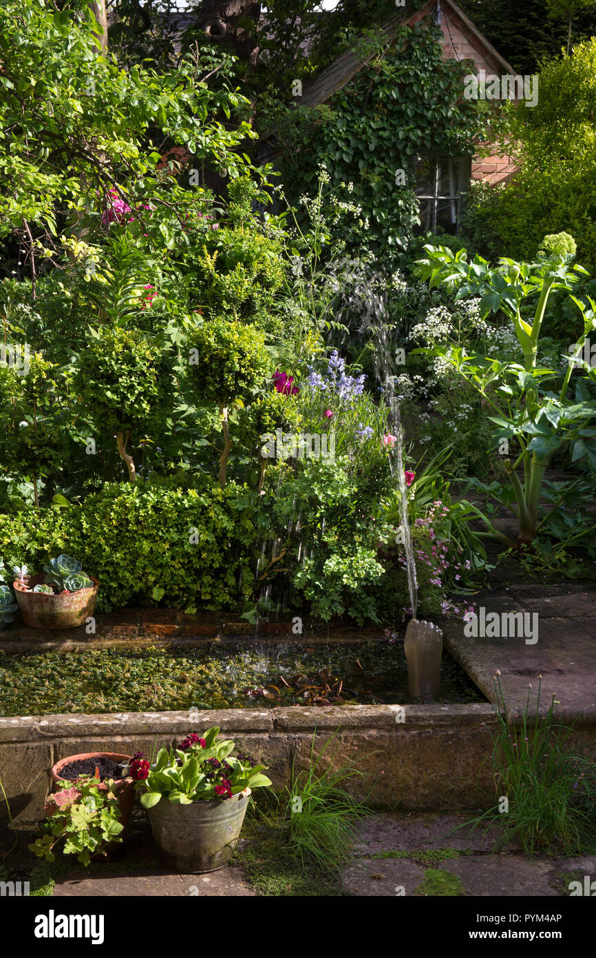 Fontana nel piccolo laghetto in giardino inglese,l'Inghilterra,l'Europa Foto Stock