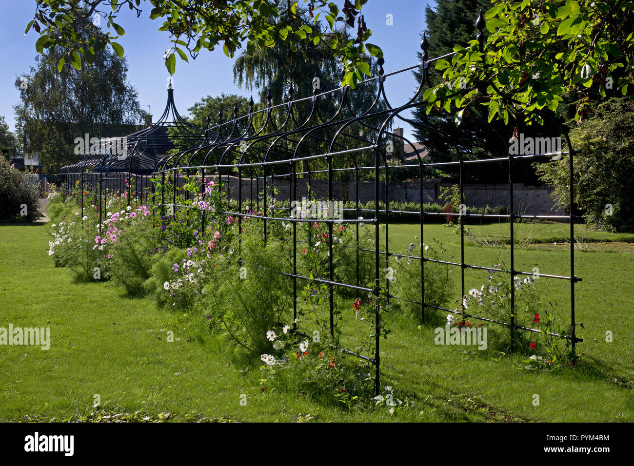 Lunga passerella di metallo trellis pergola nel giardino inglese,l'Inghilterra,l'Europa Foto Stock