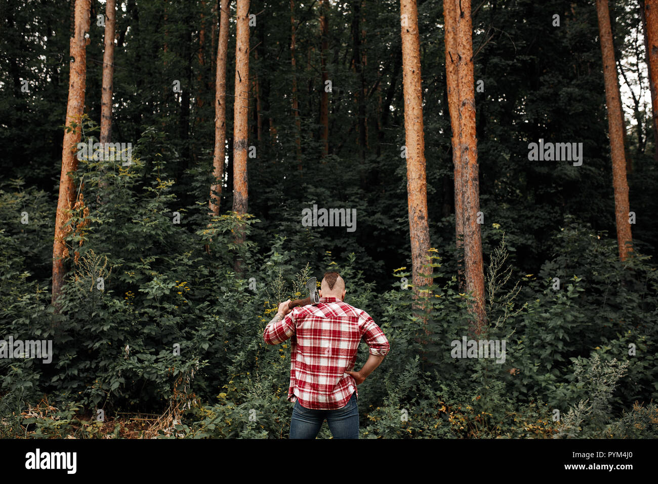 Vista posteriore di lumberjack in foresta tenendo un'ascia sulla sua spalla Foto Stock