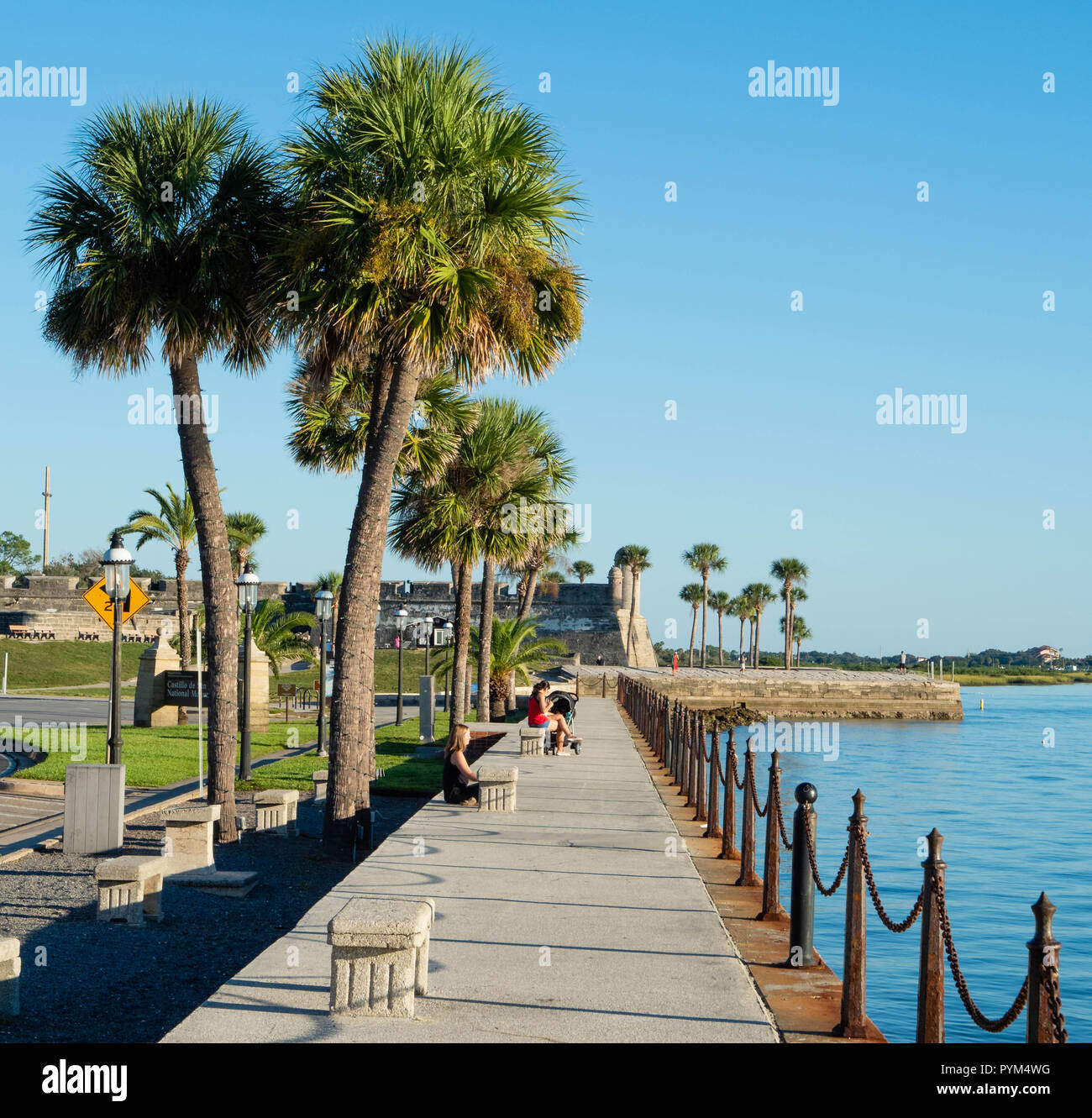 Palmo rivestito riverside a piedi lungo il fiume Matanzas verso il Castillo de San Marcos a St Augustine, Florida USA Foto Stock