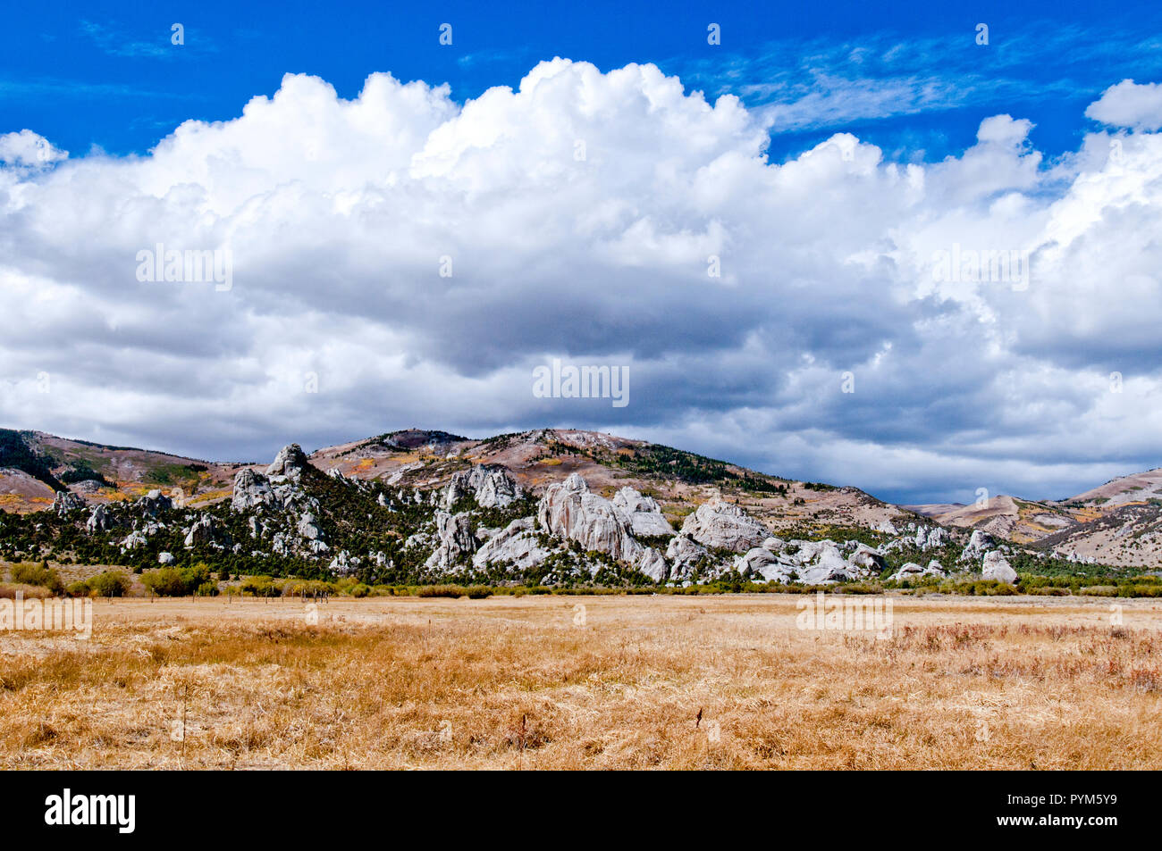 Il castello stato Rocks Parco Vicino città di roccia riserva nazionale, Idaho Foto Stock