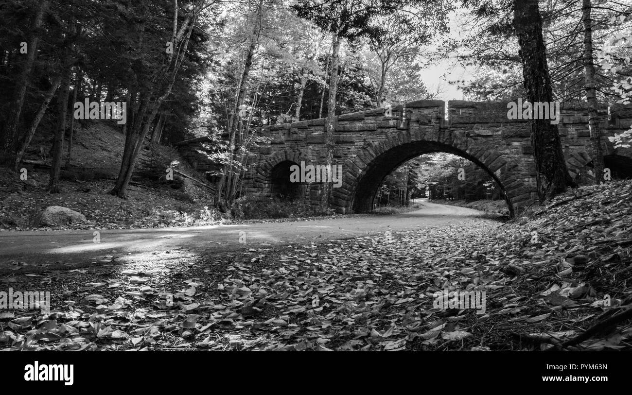 Autunno nel parco nazionale di Acadia, Maine Foto Stock