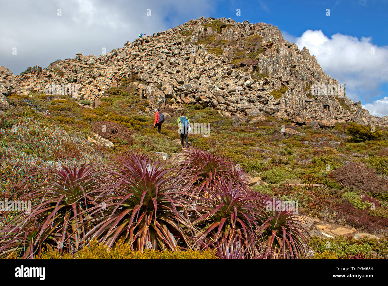 Gli escursionisti pandani passando sotto la cima del Picco di Hartz Foto Stock