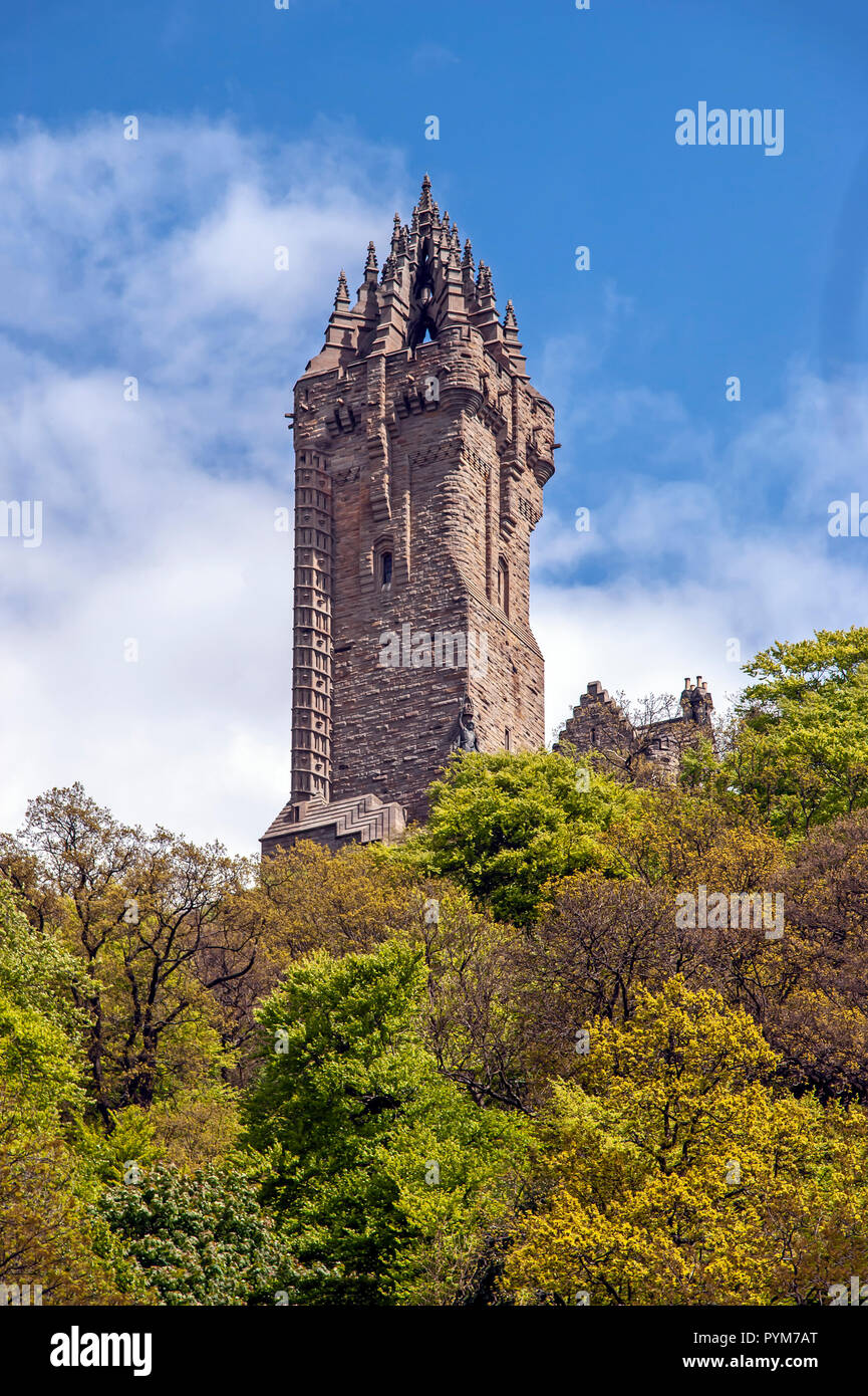 Il National Wallace Monument Stirling Scozia Scotland Regno Unito Foto Stock