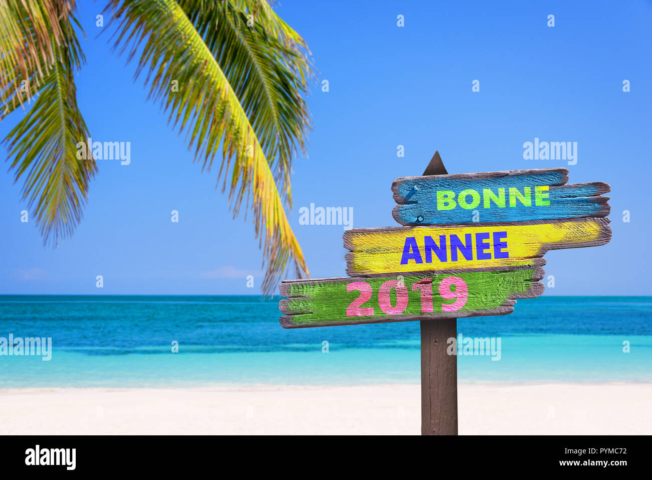 Bonne annee 2019 (significato felice anno nuovo in francese) su un di legno colorato segni di direzione, la spiaggia e il palm tree background Foto Stock