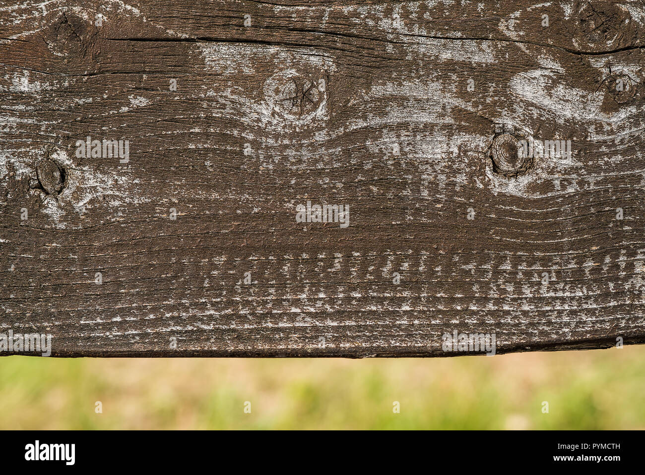 Ruvido e rustico in legno marrone scuro con tavoloni weathered e naturale superficie sbiadita, con blured natura in background. Foto Stock