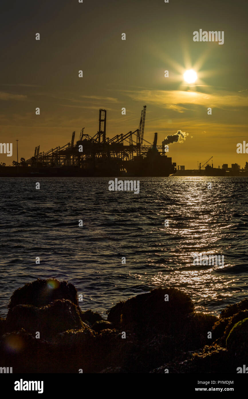 Tramonto e un gradiente di cielo blu sulla gru contenitori di carico presso il più grande porto marittimo europeo, Rotterdam, Paesi Bassi Foto Stock