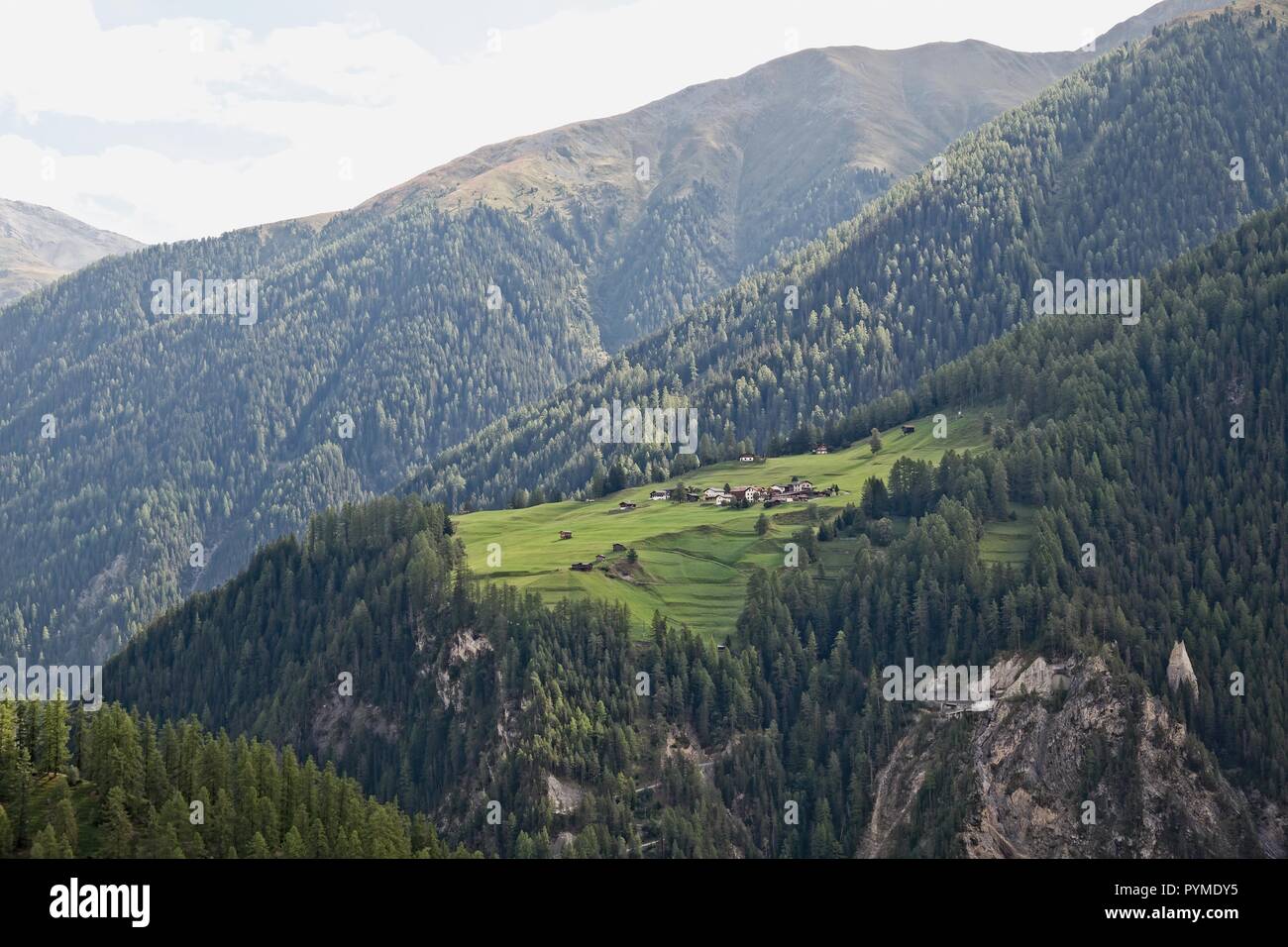 Piste ALPINE, AGRICOLTURA E FORESTE, regione di Davos, in Svizzera Foto Stock