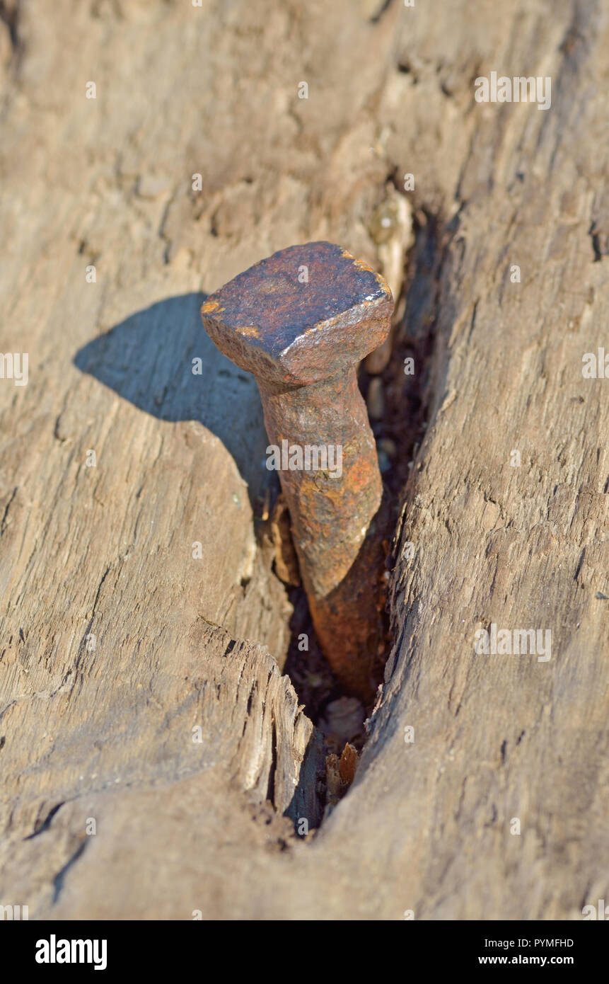 In un registro il chiodo è martellato.Tutto è arrugginita dal vecchio giorni. Foto Stock