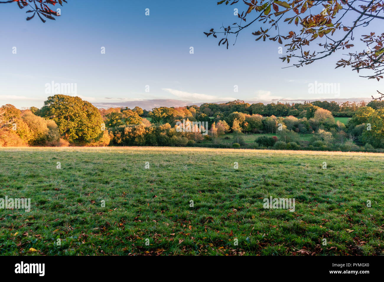 Vista attraverso la campagna gelida che circonda il villaggio di Fritham nel New Forest National Park, Hampshire, Inghilterra, Regno Unito Foto Stock