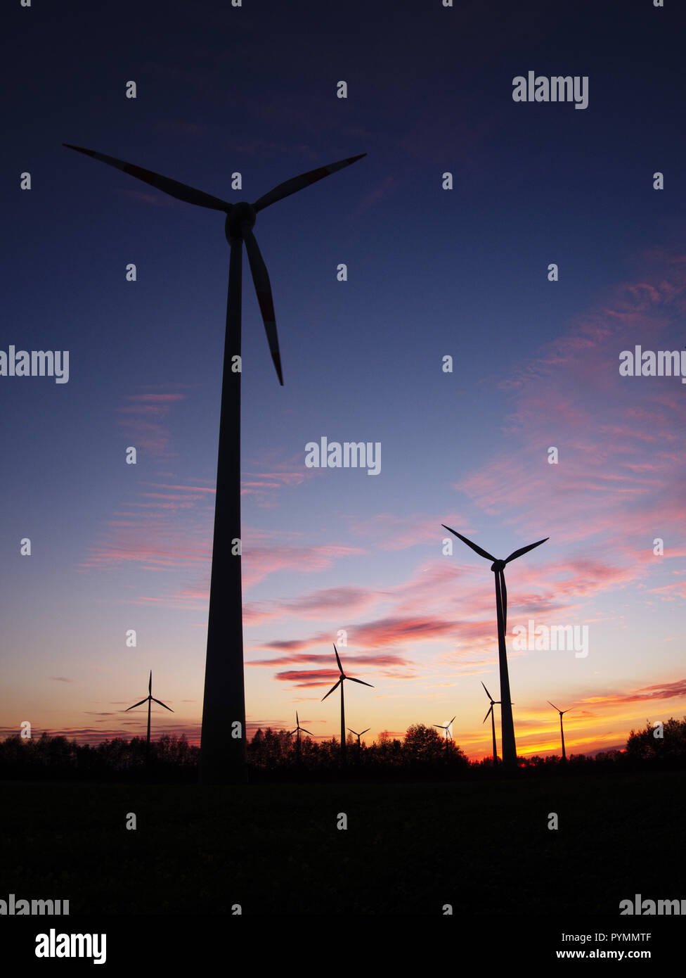 Sunset over Bargerveen, Paesi Bassi Foto Stock