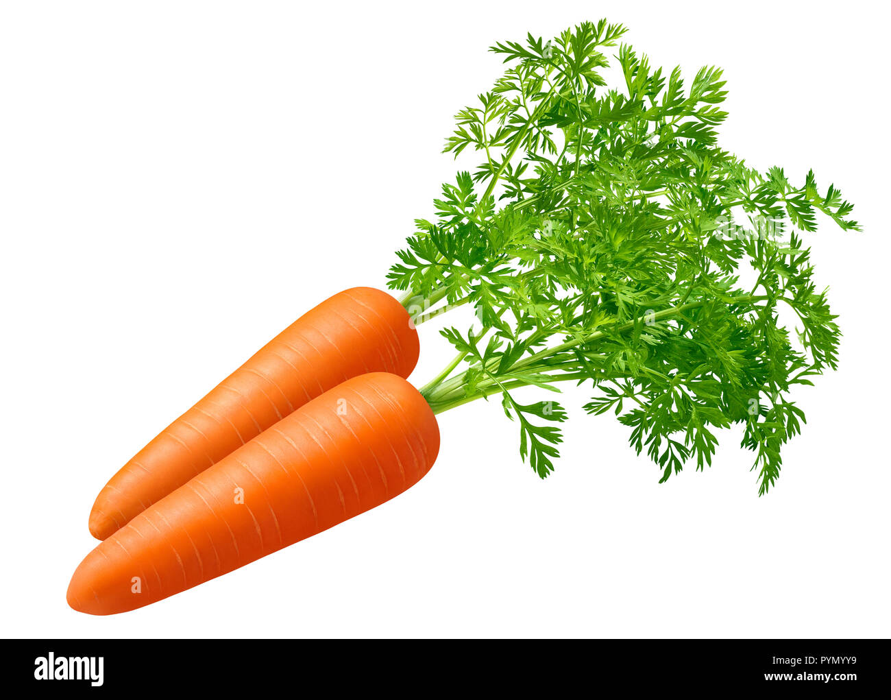 Le carote fresche con cime isolati su sfondo bianco. Pacchetto elemento di design con tracciato di ritaglio Foto Stock