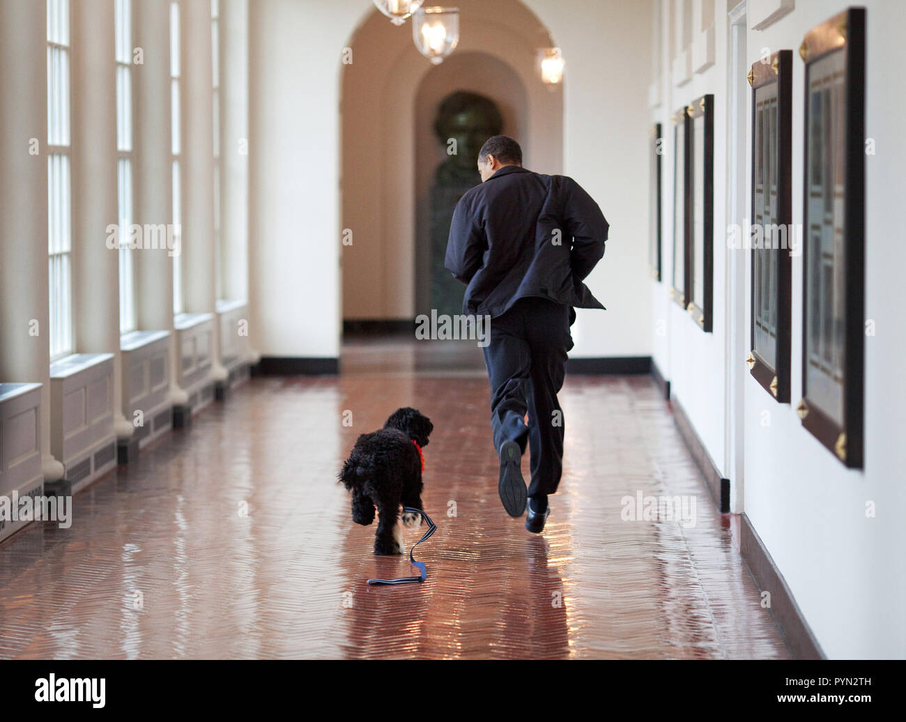 Il presidente Barack Obama corre giù il colonnato orientale con il cane di famiglia "Bo". 3/15/09 Foto Stock