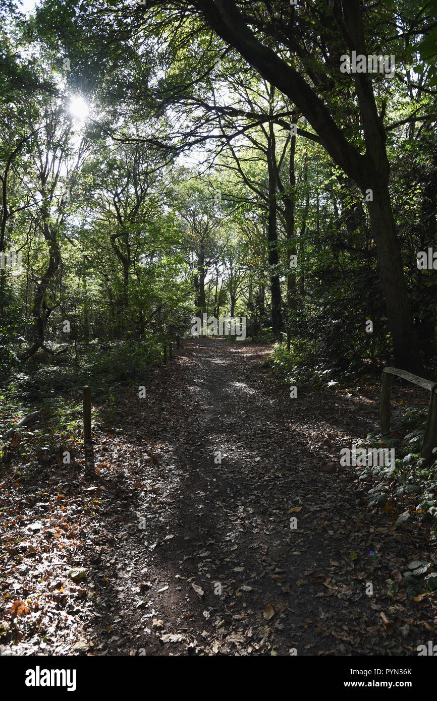 Parco Scadbury Riserva Naturale, Chislehurst, London Borough of Bexley.UK Foto Stock