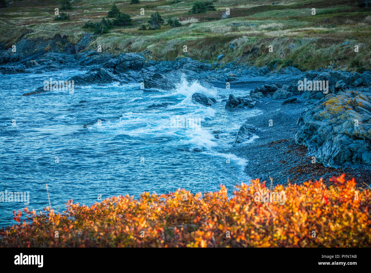 Onde sulla riva della costa con foglie di autunno Foto Stock