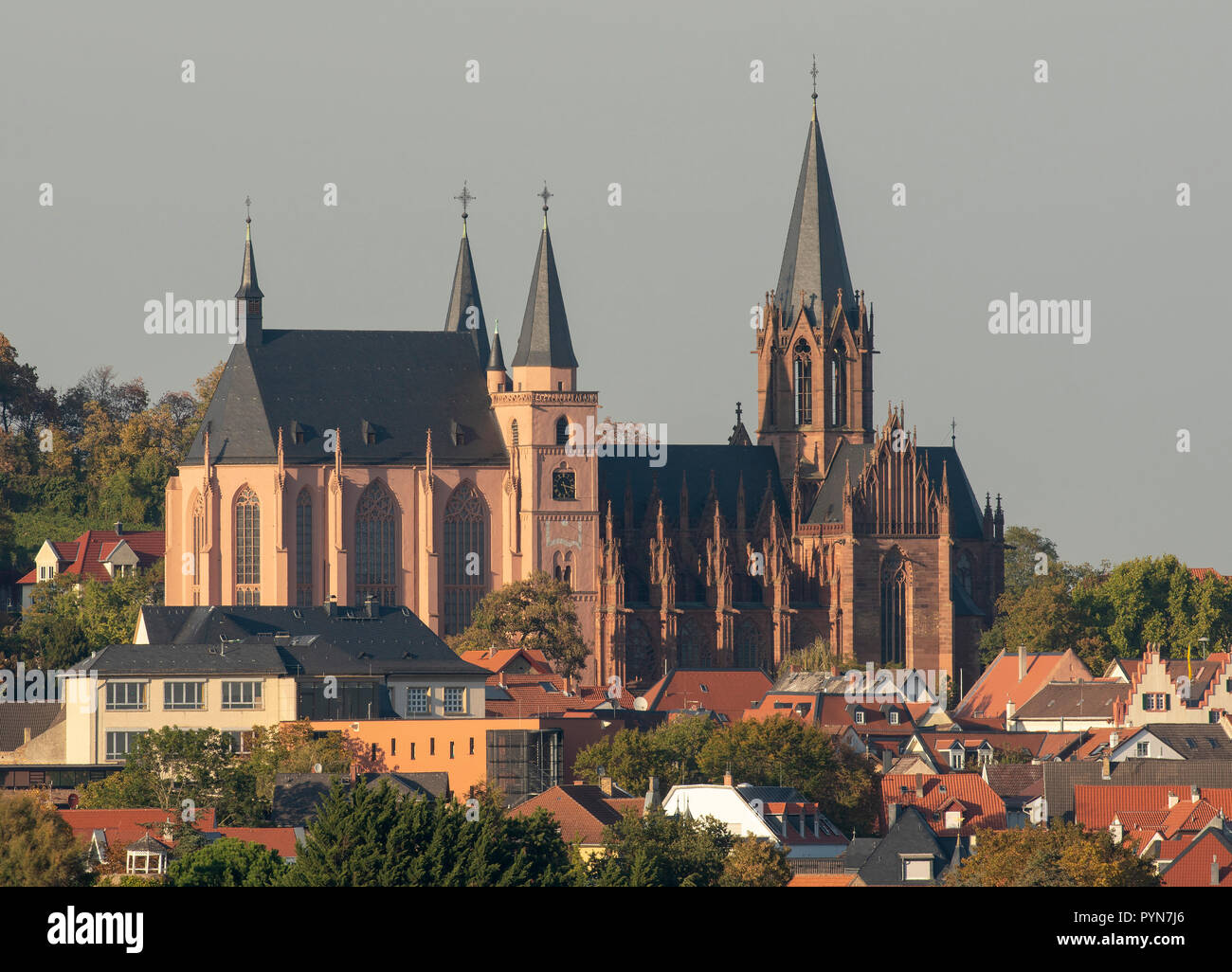 Oppenheim, Katharinenkirche, Fernsicht von Süden Foto Stock