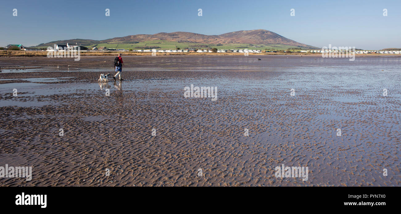 Walker con il cane a camminare il Solway Firth coast voce lungo a Mersehead Riserva Naturale da Southerness, Scotland, Regno Unito Foto Stock