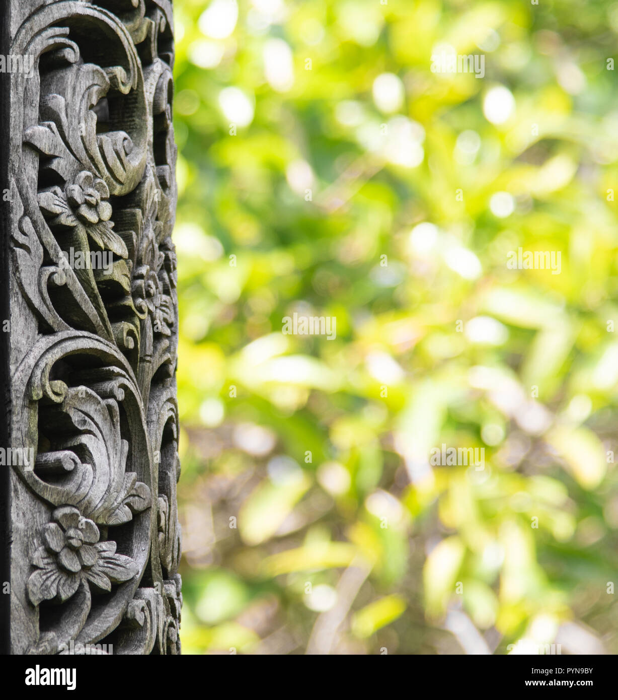 Le macchine per la lavorazione del legno nella foresta Foto Stock