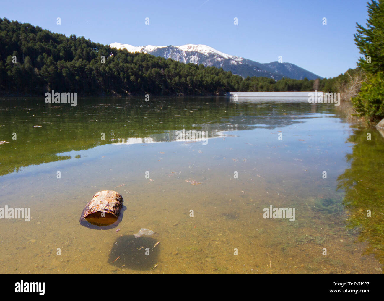 Bella foto Foto Stock