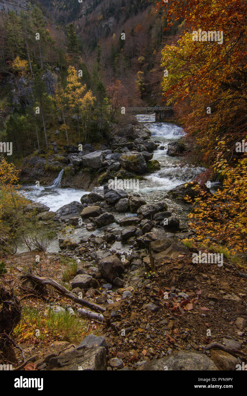 Bella foto Foto Stock