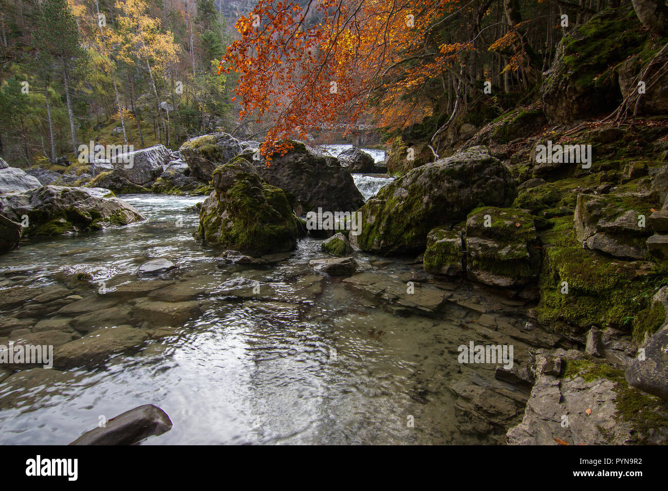 Bella foto Foto Stock