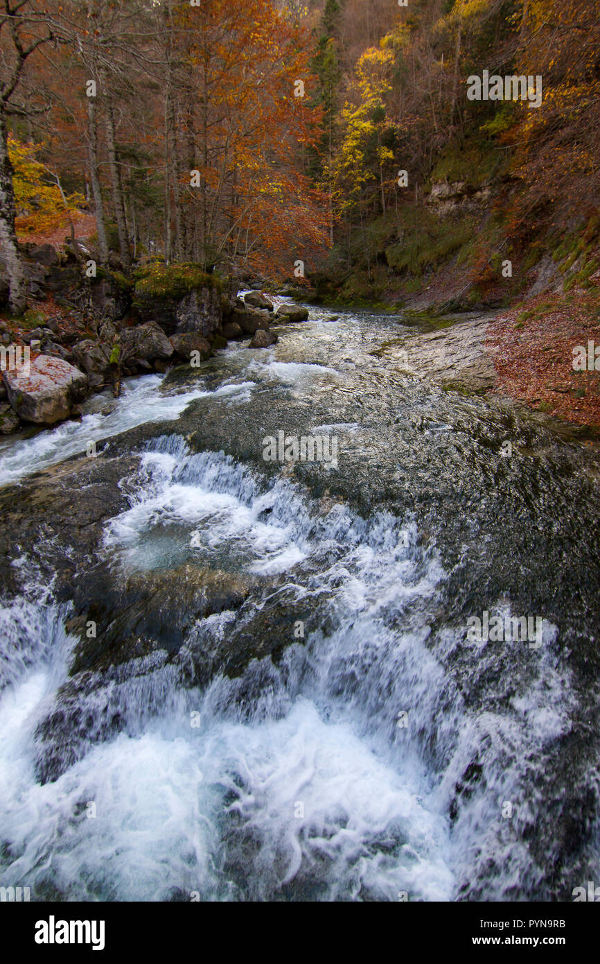 Bella foto Foto Stock