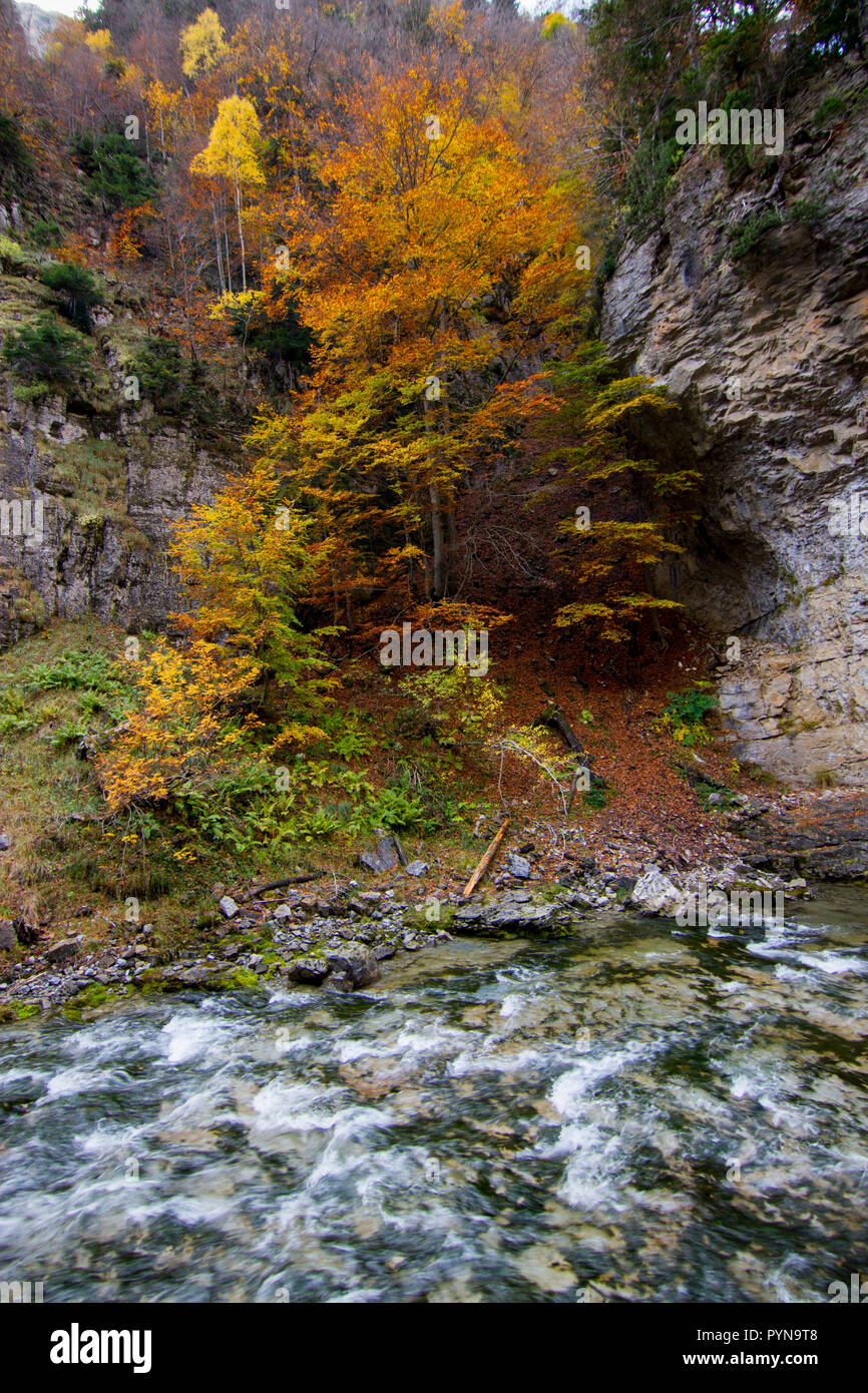 Bella foto Foto Stock