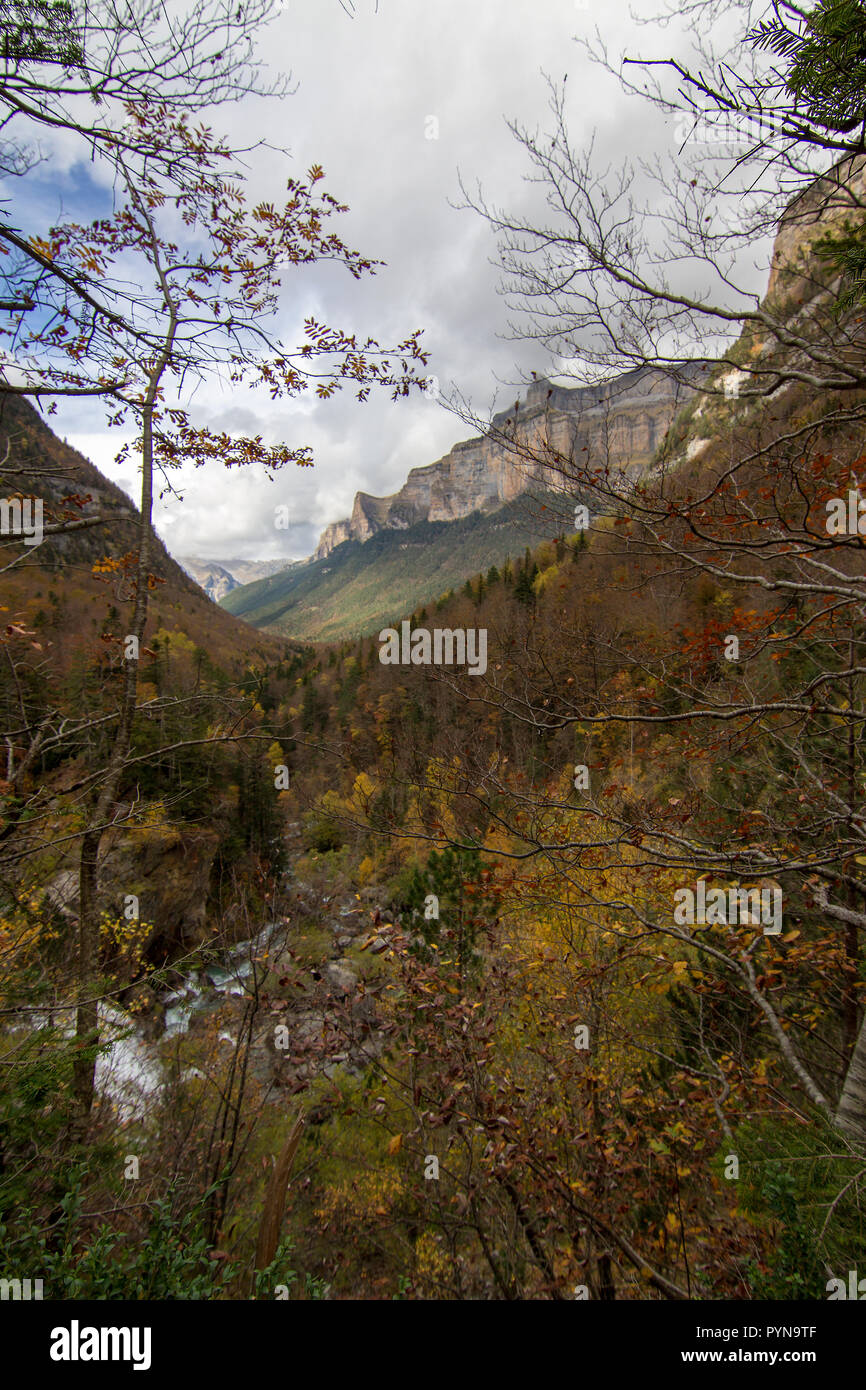 Bella foto Foto Stock