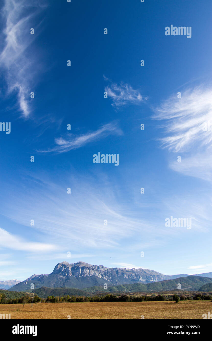 Bella foto Foto Stock