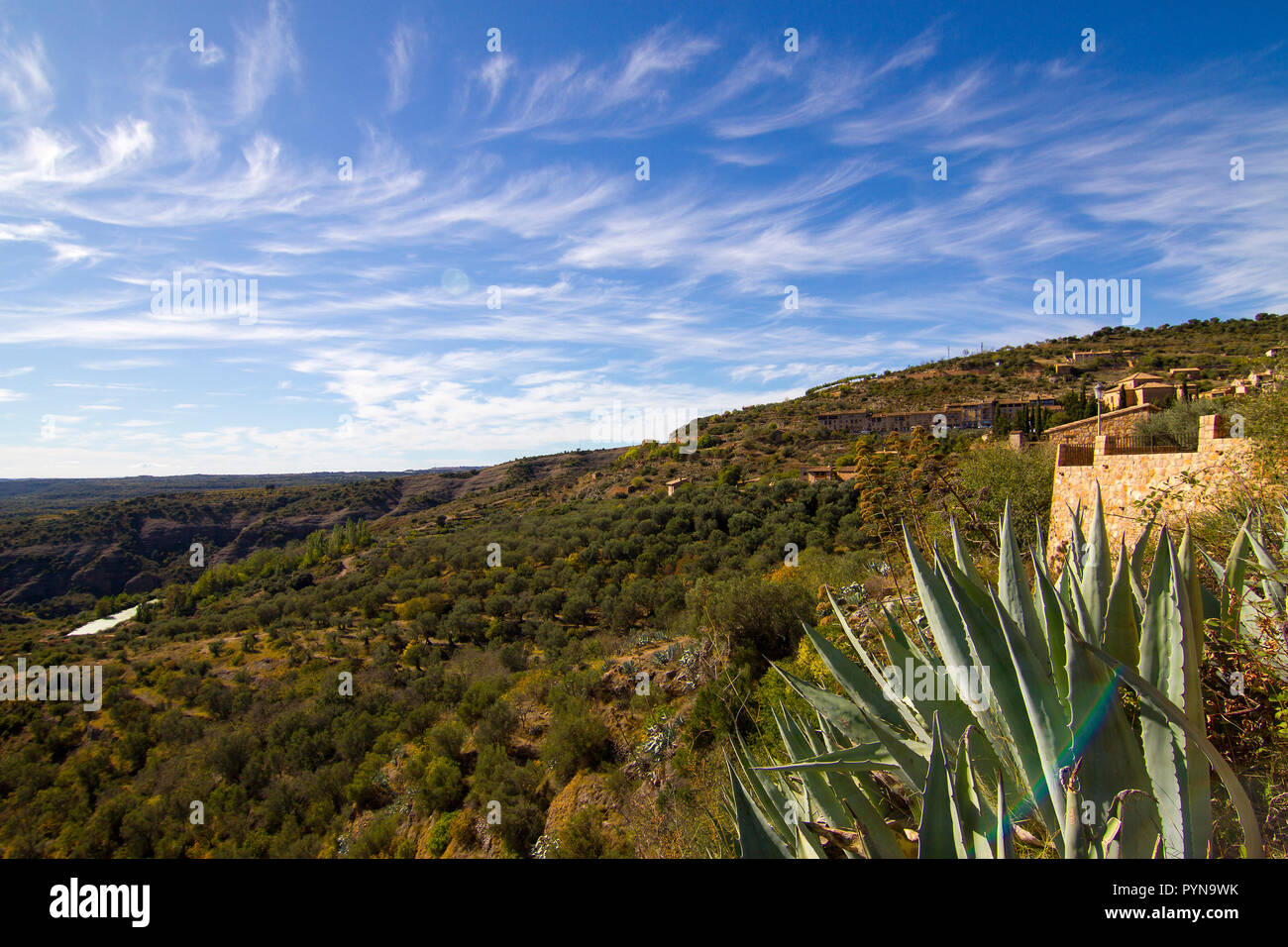 Bella foto Foto Stock