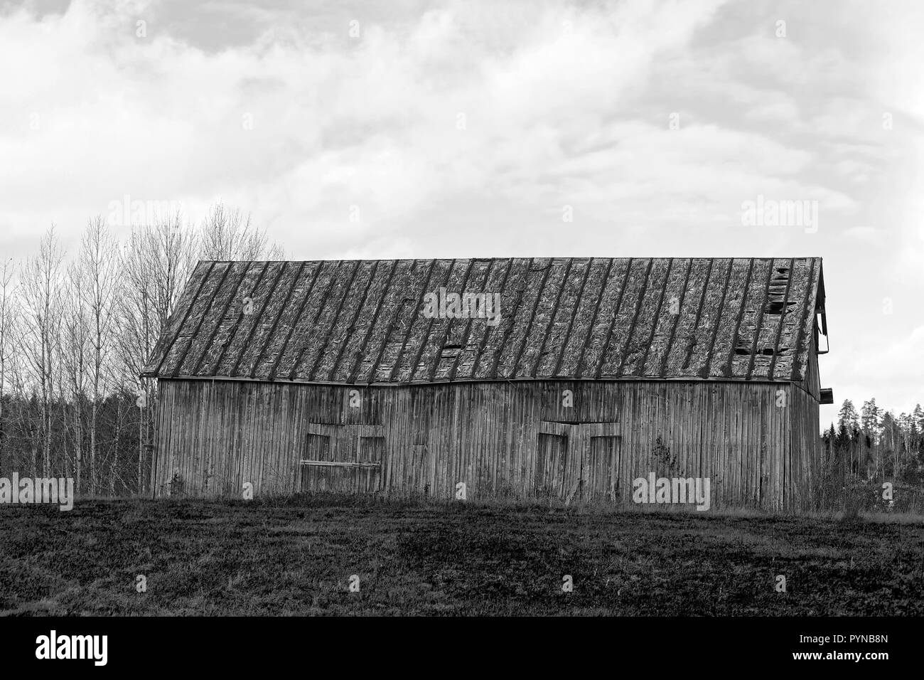 Il vecchio fienile con tetto shigle in campo nel paese. Immagine in bianco e nero. Foto Stock