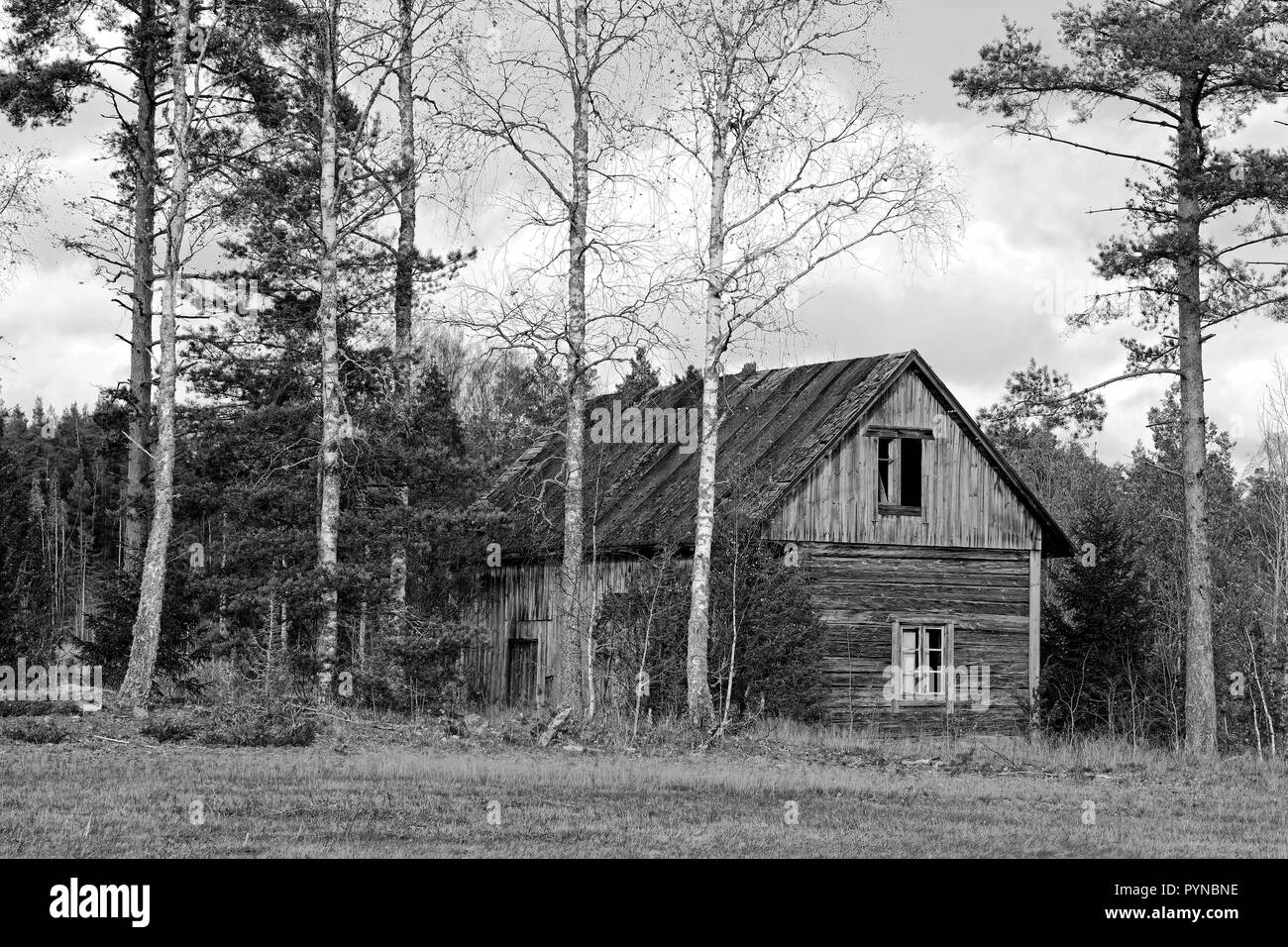Vecchia casa in legno nel paese in un giorno di autunno e in bianco e nero. Foto Stock